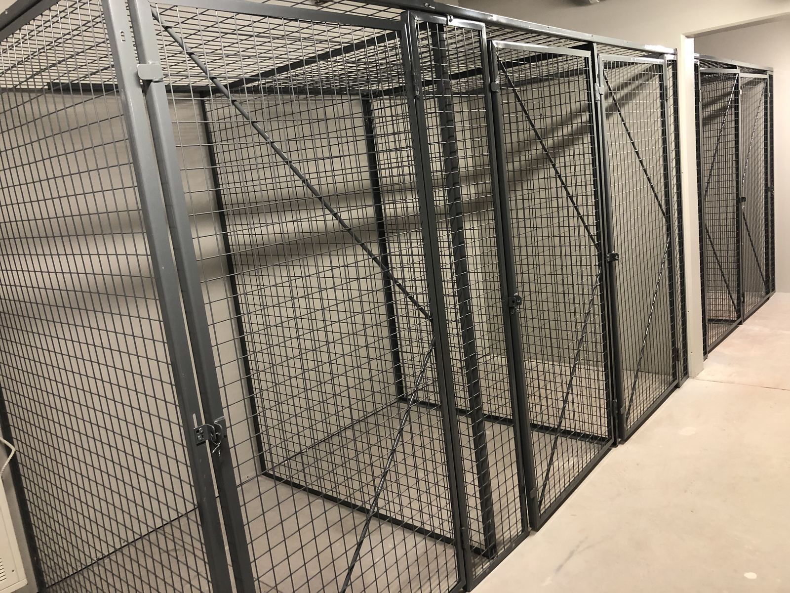 Framed wire mesh lockers in a storage room