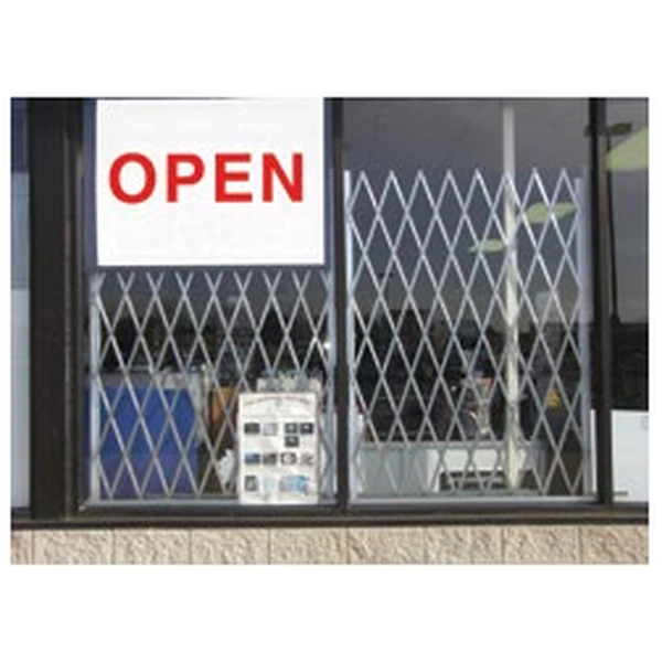 Storefront window security gate
