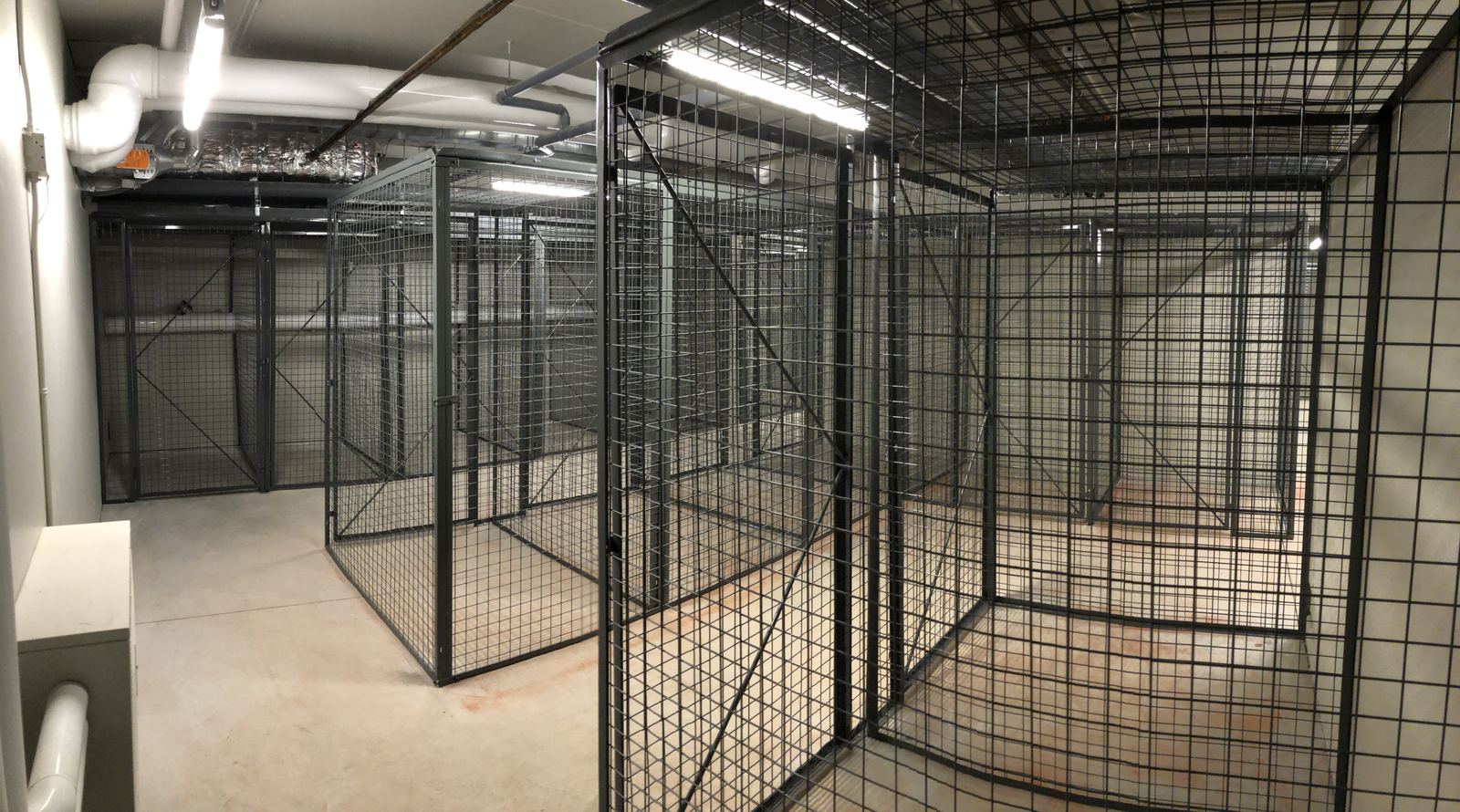 Wire mesh lockers filling a storage area