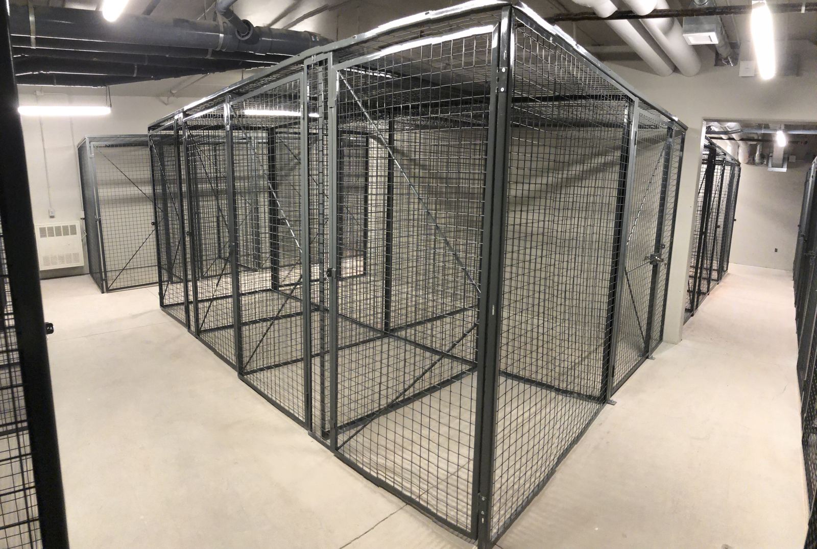 Back-to-back wire mesh storage lockers